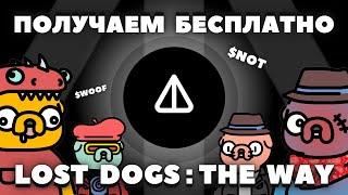 БЕСПЛАТНО NOTCOIN! LOST DOGS ТЕЛЕГРАМ КАК ИГРАТЬ? ГАЙД! НОТКОИН ИГРЫ GAMES TELEGRAM NOT TON NFT ФАРМ