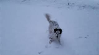 Gibbs, Snow, Diesel Generator and clearing the solar panels.