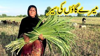 Mere Peyre Gaon ki Sair || Mud House Life Pakistan||  Sajida village vlog ||Village Desi life