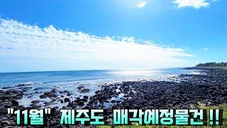 [제주도부동산경매] " 2024년 11월 " 매각예정물건 깔끔정리!!