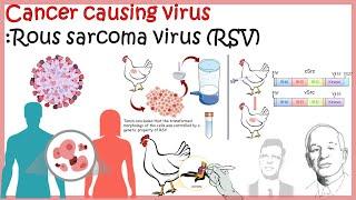 Onco-virus (Rous Sarcoma Virus : RSV) | how virus can cause cancer?