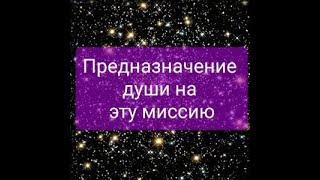 Предназначение души на эту миссию часть 1