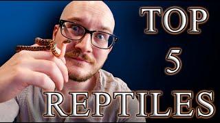 Top 5 Unique Beginner Reptiles That You Didn't Know Were Beginner Reptiles