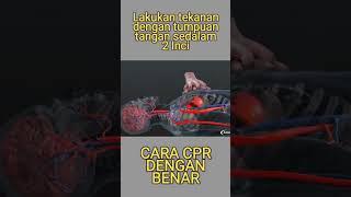 Jangan gegabah !!!