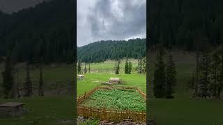 Exploring janshae Meadows Kalam | hiking | nature | Kpk | beauty |