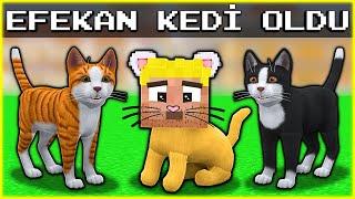 EFEKAN TRANSFORMED INTO A CAT!  - Minecraft