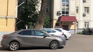 В Москве судят депутатов и активистов за одиночные пикеты на Петровке 38 / LIVE 16.06.20