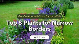 Get Creative with Your Garden: Top 8 Plants for Narrow Borders 