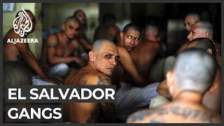 El Salvador President Bukele denies granting favours to gangs