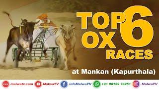 𝐓𝐎𝐏 𝟔 𝐎𝐗 𝐑𝐀𝐂𝐄𝐒  MANKAN (Kapurthala) OX RACES - ਬਲਦਾਂ ਦੀਆਂ ਦੌੜਾਂ 2020  MalwaTV