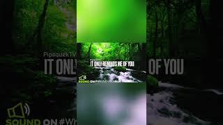 #WhatsOnYourMind #shortvideo #shortsfeed #short #shortsvideo #ytshorts