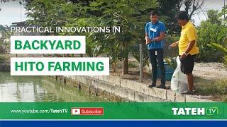 Magandang pagkakitaan: Practical Innovations in Backyard HIto Farming | Episode 112