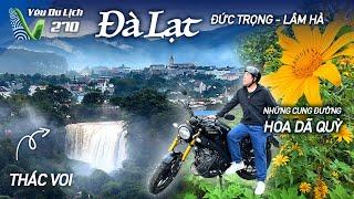 YDL #270: Đi Đà Lạt mùa hoa dã quỳ, khám phá Thác Voi siêu đẹp | Yêu Máy Bay