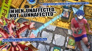 Another 'Unaffected' Victim for MIKANKO Yugioh Master Duel