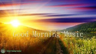 ( QUIET ) Morning Music For Positive Energy & Healing Stress Relief 528Hz