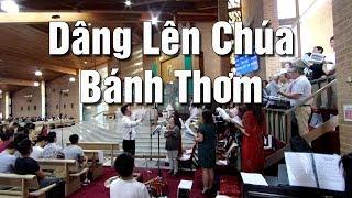 Dâng Lên Chúa Bánh Thơm (Phanxicô) – Ca đoàn Ngôi Ba