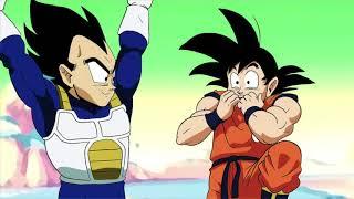 Dragonball Z: Did We Just Become Best Friends