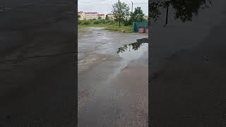 увидил Аиста.