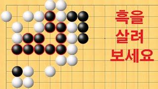 바둑 묘수 사활 - 역전의 묘수가 있습니다. 흑을 살려보세요