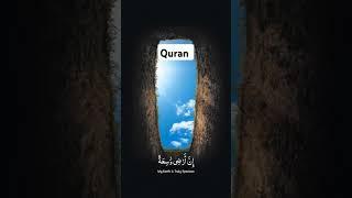 heart Touching Quran Recitation|#quran #islamicrecitation #quranrecitation