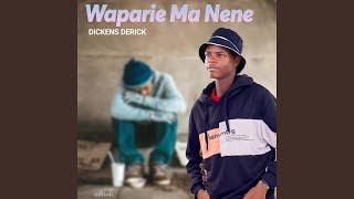 Waparie Ma Nene (Past Struggles)