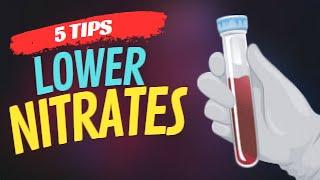 Try These 5 Proven Tips to Lower Nitrates in Your Aquarium