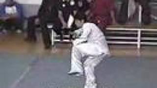 陳式太極拳 Dr Liu Ming,"World Taijiquan Chen Champion in China" LHQ