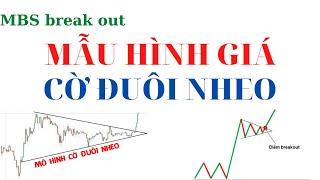 MẪU HÌNH GIÁ CỜ ĐUÔI NHEO