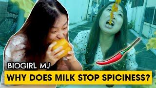 Do not eat your chilli like this | Biogirl MJ