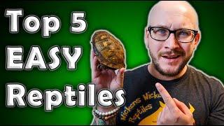 Top 5 Low Maintenance, Easiest, Least Time Consuming Reptiles