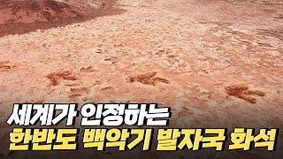 [핫클립] 세계적으로 인정받은 공룡 발자국 화석의 가치 / YTN 사이언스