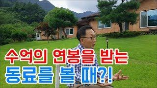 당신을 썩게 만들 것인가? 익게 만들 것인가? [하석태TV]