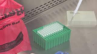 Army Applies Lung-on-a-Chip Technology to COVID-19 Research