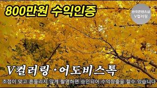 가을바람에 떨어지는 노란 은행나뭇잎 촬영! 자면서 쉴때도 돈이 들어오는 부업 V컬러링,어도비스톡 수익창출