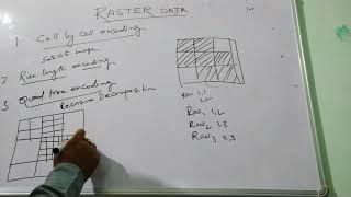 Raster Data