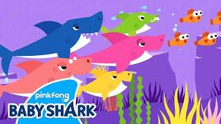 All Time Best Baby Shark Medley | Baby Shark Doo Doo Doo 1hour | +Compilation | Baby Shark Official
