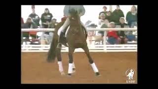 1996 USDF National Symposium: Robert Dover riding Fourth Level Movements