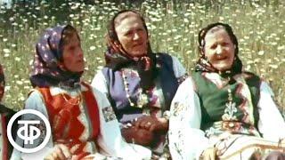 Родники народные. Старинные сибирские песни в исполнении народных коллективов (1979)