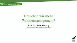 Brauchen wir mehr Wildtiermanagement? – Prof. Dr. Dr. Sven Herzog beim Wildtier Forum Berlin 2021