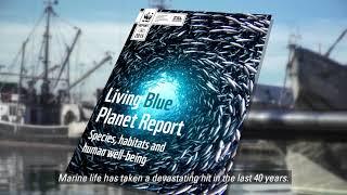 Volvo Environment Prize 2017
