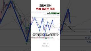 코린이들 시체 많은곳