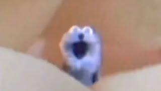 Screaming Blue Thing But With Different Meme Sounds