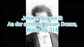 Johann Strauss II: An der Schonen Blauen Dounau, Waltz, Op.314 (With surprise)