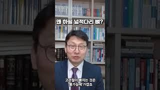 왜 하필 넓적다리를? #힘을빼보자 #생명에는위험이없게 #그래도한번해볼래? #아니요주님! #저는못합니다 #그래이제야 #이스라엘이군