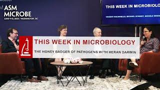 This Week in Microbiology: The Honey Badger of Pathogens With Heran Darwin