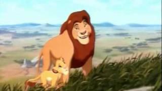 Spirit / Mufasa. A hard Sport