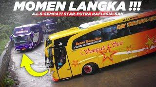 MOMEN LANGKA !!! Bus A.L.S Lewat Sitinjau Lauik, Bus Putra Raflesia Ditempel PO SAN