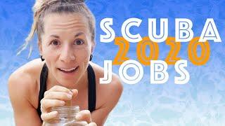 The REALITY of Scuba Diving Jobs in 2020 