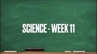 CC Cycle 1 Week 11 Science