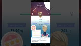 Catching 100iv Litleo | Perfect Pokemon